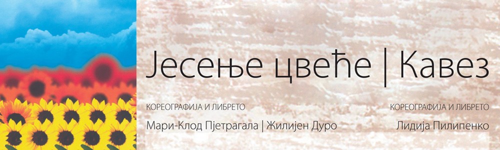 Јесење цвеће